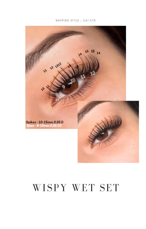 Lash Styling E-book